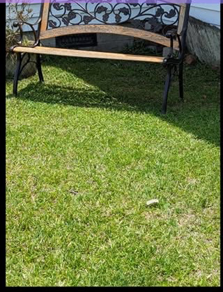 After lawn care