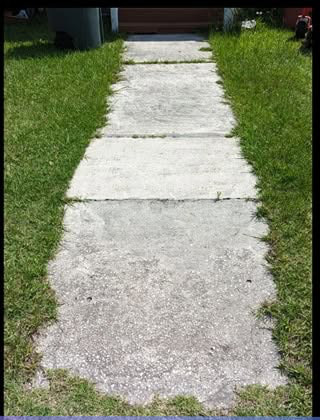 Before lawn care